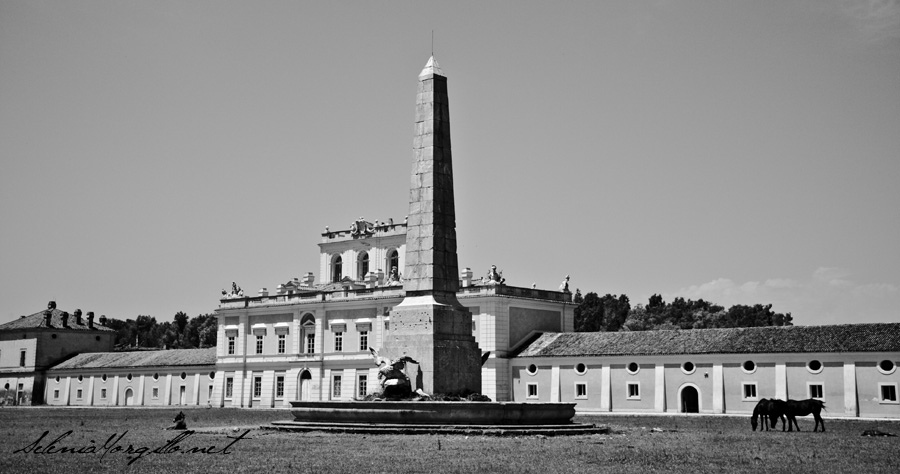 reggia carditello